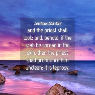 Picture 04 - Leviticus 13:8 ASV - and the priest shall look; and, behold, if the - Bible Verse Picture