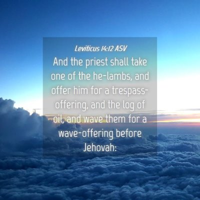 Picture 04 - Leviticus 14:12 ASV - And the priest shall take one of the he-lambs, - Bible Verse Picture
