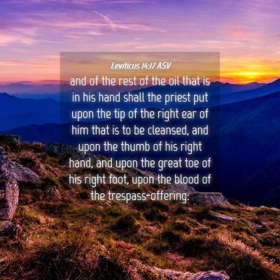 Picture 04 - Leviticus 14:17 ASV - and of the rest of the oil that is in his hand - Bible Verse Picture