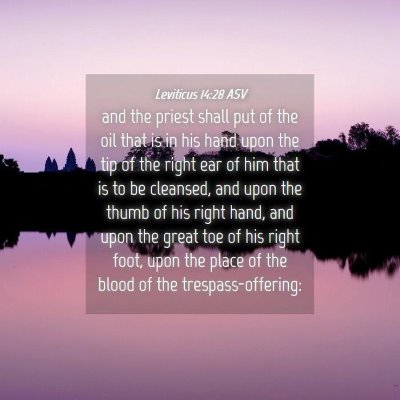 Picture 04 - Leviticus 14:28 ASV - and the priest shall put of the oil that is in - Bible Verse Picture