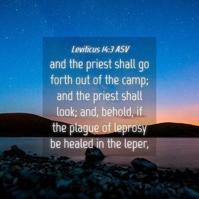 Picture 04 - Leviticus 14:3 ASV - and the priest shall go forth out of the camp; - Bible Verse Picture