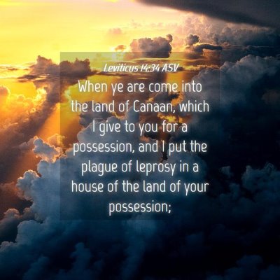 Picture 04 - Leviticus 14:34 ASV - When ye are come into the land of Canaan, which I - Bible Verse Picture