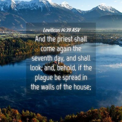 Picture 04 - Leviticus 14:39 ASV - And the priest shall come again the seventh day, - Bible Verse Picture
