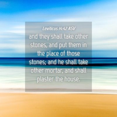 Picture 04 - Leviticus 14:42 ASV - and they shall take other stones, and put them in - Bible Verse Picture
