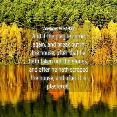Picture 04 - Leviticus 14:43 ASV - And if the plague come again, and break out in - Bible Verse Picture
