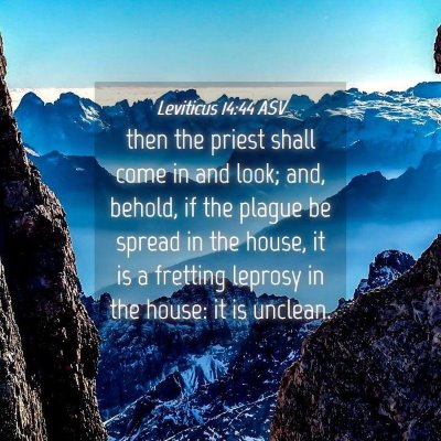 Picture 04 - Leviticus 14:44 ASV - then the priest shall come in and look; and, - Bible Verse Picture