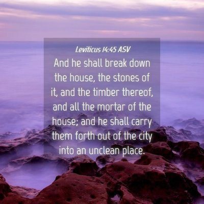 Picture 04 - Leviticus 14:45 ASV - And he shall break down the house, the stones of - Bible Verse Picture