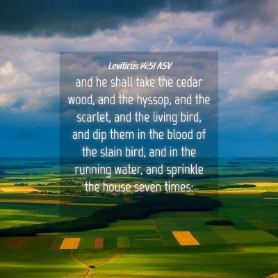 Picture 04 - Leviticus 14:51 ASV - and he shall take the cedar wood, and the hyssop, - Bible Verse Picture