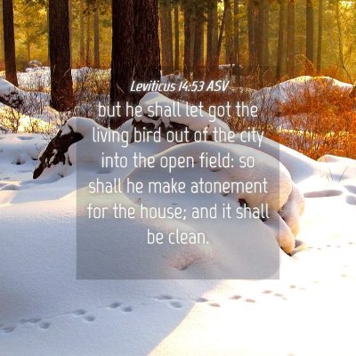 Picture 04 - Leviticus 14:53 ASV - but he shall let got the living bird out of the - Bible Verse Picture