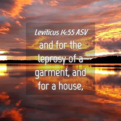 Picture 04 - Leviticus 14:55 ASV - and for the leprosy of a garment, and for a - Bible Verse Picture
