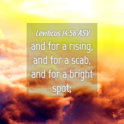 Picture 04 - Leviticus 14:56 ASV - and for a rising, and for a scab, and for a - Bible Verse Picture