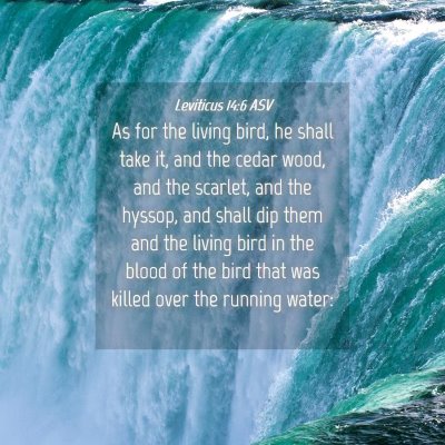 Picture 04 - Leviticus 14:6 ASV - As for the living bird, he shall take it, and the - Bible Verse Picture