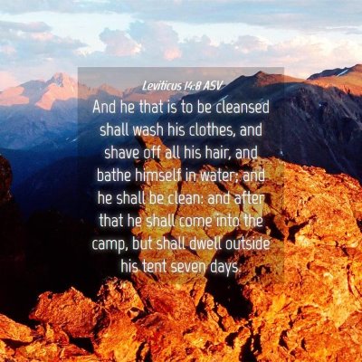 Picture 04 - Leviticus 14:8 ASV - And he that is to be cleansed shall wash his - Bible Verse Picture