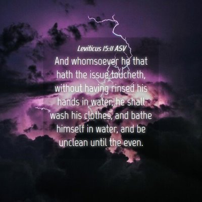 Picture 04 - Leviticus 15:11 ASV - And whomsoever he that hath the issue toucheth, - Bible Verse Picture