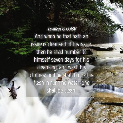 Picture 04 - Leviticus 15:13 ASV - And when he that hath an issue is cleansed of his - Bible Verse Picture