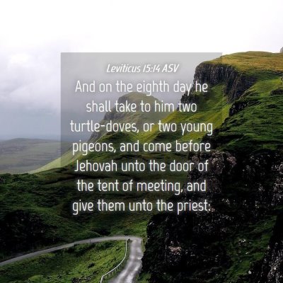 Picture 04 - Leviticus 15:14 ASV - And on the eighth day he shall take to him two - Bible Verse Picture