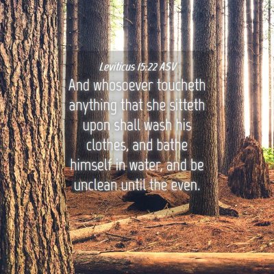 Picture 04 - Leviticus 15:22 ASV - And whosoever toucheth anything that she sitteth - Bible Verse Picture
