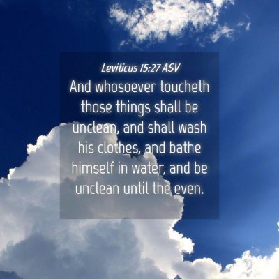Picture 04 - Leviticus 15:27 ASV - And whosoever toucheth those things shall be - Bible Verse Picture