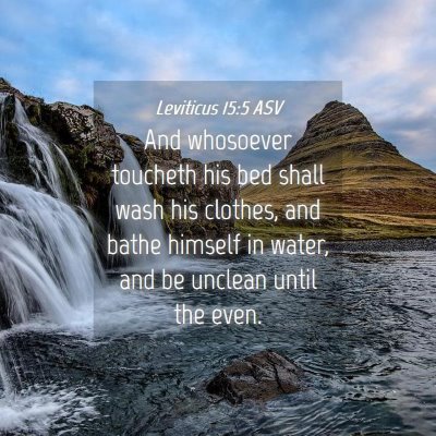 Picture 04 - Leviticus 15:5 ASV - And whosoever toucheth his bed shall wash his - Bible Verse Picture