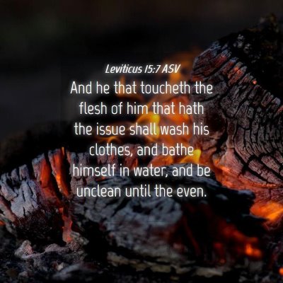 Picture 04 - Leviticus 15:7 ASV - And he that toucheth the flesh of him that hath - Bible Verse Picture