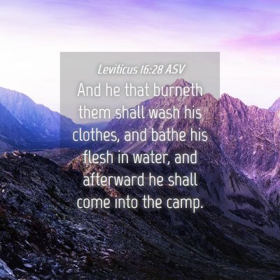 Picture 04 - Leviticus 16:28 ASV - And he that burneth them shall wash his clothes, - Bible Verse Picture