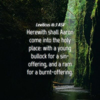 Picture 04 - Leviticus 16:3 ASV - Herewith shall Aaron come into the holy place: - Bible Verse Picture
