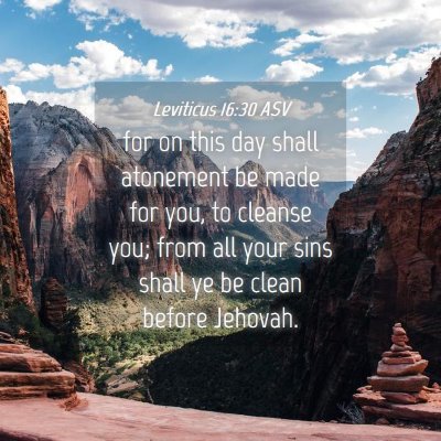 Picture 04 - Leviticus 16:30 ASV - for on this day shall atonement be made for you, - Bible Verse Picture