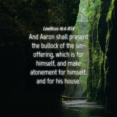 Picture 04 - Leviticus 16:6 ASV - And Aaron shall present the bullock of the - Bible Verse Picture