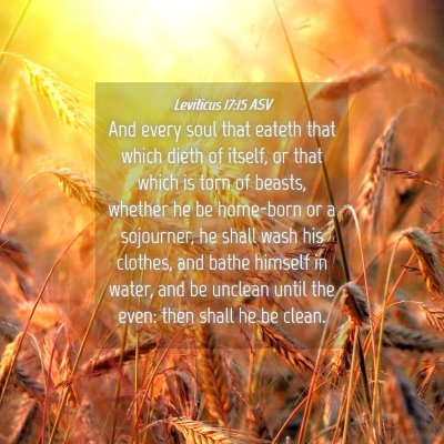 Picture 04 - Leviticus 17:15 ASV - And every soul that eateth that which dieth of - Bible Verse Picture