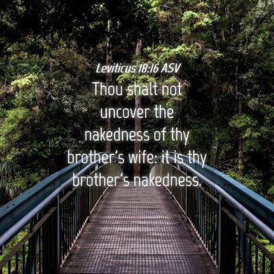 Picture 04 - Leviticus 18:16 ASV - Thou shalt not uncover the nakedness of thy - Bible Verse Picture