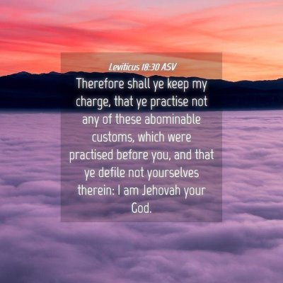 Picture 04 - Leviticus 18:30 ASV - Therefore shall ye keep my charge, that ye - Bible Verse Picture