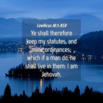 Picture 04 - Leviticus 18:5 ASV - Ye shall therefore keep my statutes, and mine - Bible Verse Picture