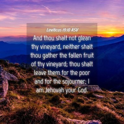 Picture 04 - Leviticus 19:10 ASV - And thou shalt not glean thy vineyard, neither - Bible Verse Picture