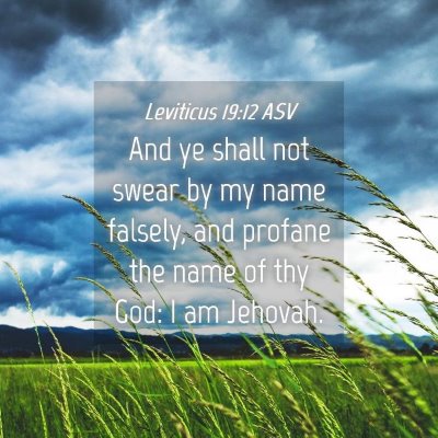 Picture 04 - Leviticus 19:12 ASV - And ye shall not swear by my name falsely, and - Bible Verse Picture