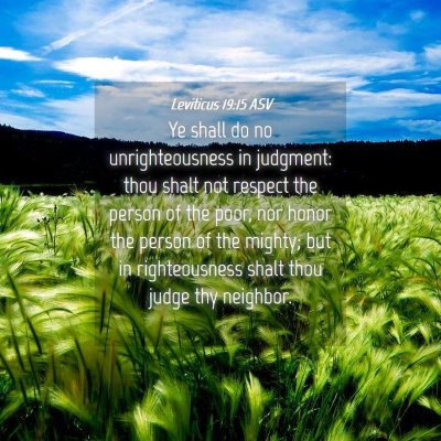 Picture 04 - Leviticus 19:15 ASV - Ye shall do no unrighteousness in judgment: thou - Bible Verse Picture