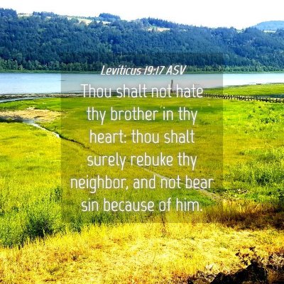 Picture 04 - Leviticus 19:17 ASV - Thou shalt not hate thy brother in thy heart: - Bible Verse Picture