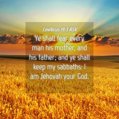 Picture 04 - Leviticus 19:3 ASV - Ye shall fear every man his mother, and his - Bible Verse Picture