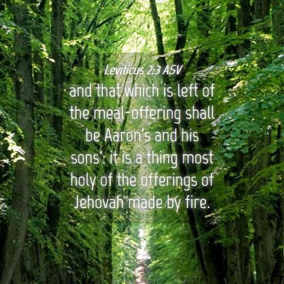 Picture 04 - Leviticus 2:3 ASV - and that which is left of the meal-offering shall - Bible Verse Picture