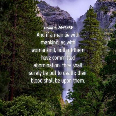 Picture 04 - Leviticus 20:13 ASV - And if a man lie with mankind, as with womankind, - Bible Verse Picture