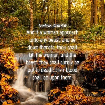 Picture 04 - Leviticus 20:16 ASV - And if a woman approach unto any beast, and lie - Bible Verse Picture