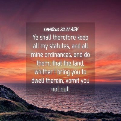 Picture 04 - Leviticus 20:22 ASV - Ye shall therefore keep all my statutes, and all - Bible Verse Picture