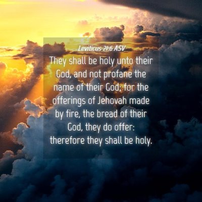 Picture 04 - Leviticus 21:6 ASV - They shall be holy unto their God, and not - Bible Verse Picture