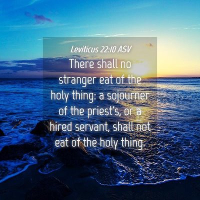 Picture 04 - Leviticus 22:10 ASV - There shall no stranger eat of the holy thing: a - Bible Verse Picture