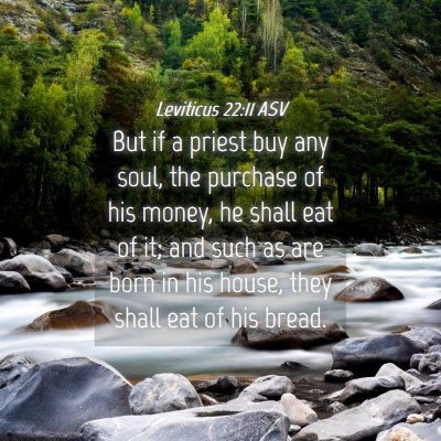 Picture 04 - Leviticus 22:11 ASV - But if a priest buy any soul, the purchase of his - Bible Verse Picture