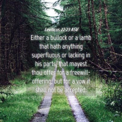 Picture 04 - Leviticus 22:23 ASV - Either a bullock or a lamb that hath anything - Bible Verse Picture