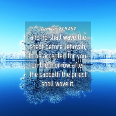 Picture 04 - Leviticus 23:11 ASV - and he shall wave the sheaf before Jehovah, to be - Bible Verse Picture