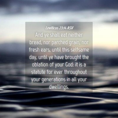Picture 04 - Leviticus 23:14 ASV - And ye shall eat neither bread, nor parched - Bible Verse Picture