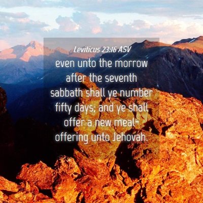 Picture 04 - Leviticus 23:16 ASV - even unto the morrow after the seventh sabbath - Bible Verse Picture