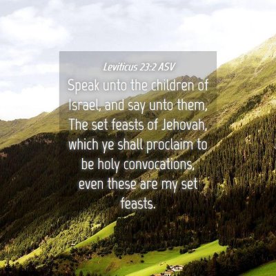 Picture 04 - Leviticus 23:2 ASV - Speak unto the children of Israel, and say unto - Bible Verse Picture