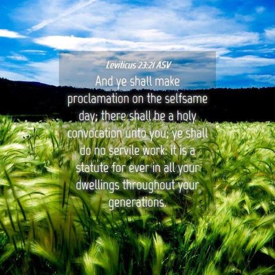 Picture 04 - Leviticus 23:21 ASV - And ye shall make proclamation on the selfsame - Bible Verse Picture